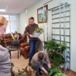 Обучение пожилых людей созданию домашних вертикальных садов