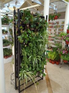 «Городской садовник вертикального озеленения» – курс дополнительного образования